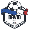 David Futsal