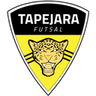 TAPEJARA FUTSAL